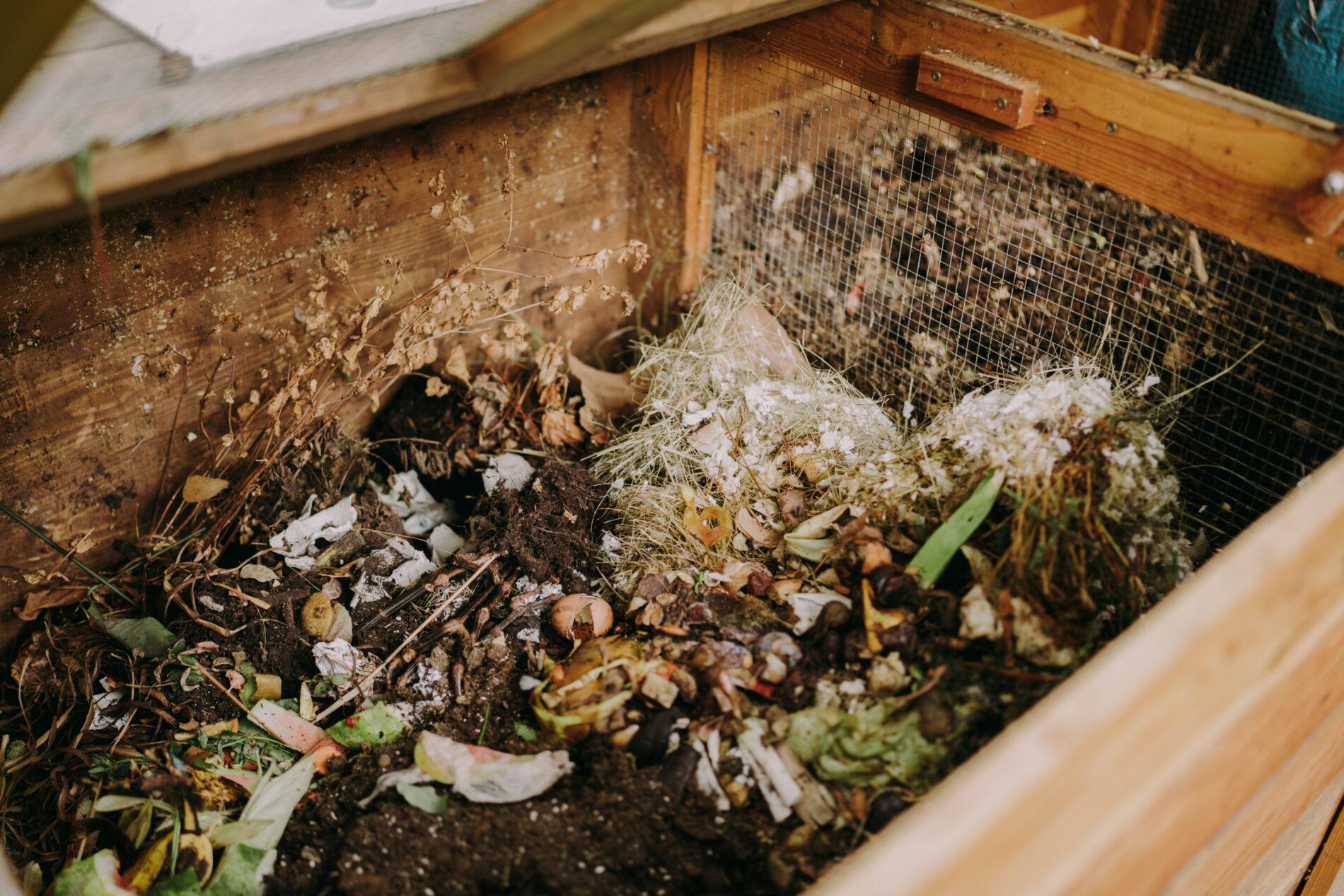 Takhle vypadá zdravý zahradní kompost